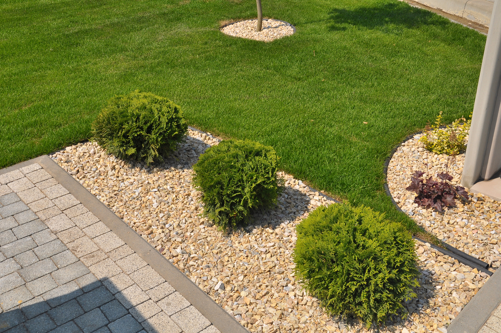 Overseeding vs Reseed Options for Detroit Lakes Lawns
